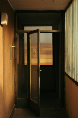 Martin Ilgner
