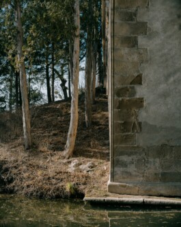 Martin Ilgner