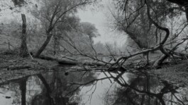 Martin ilgner