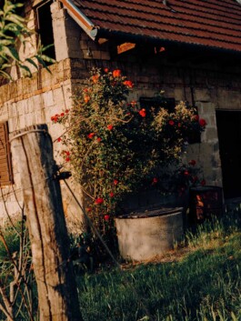 Martin Ilgner